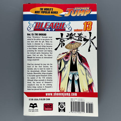 Bleach Volume 13 - Manga