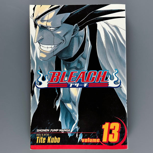Bleach Volume 13 - Manga
