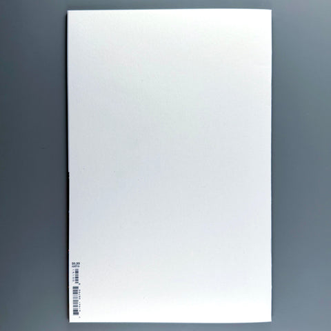 Absolute Flash 1 - Blank Variant