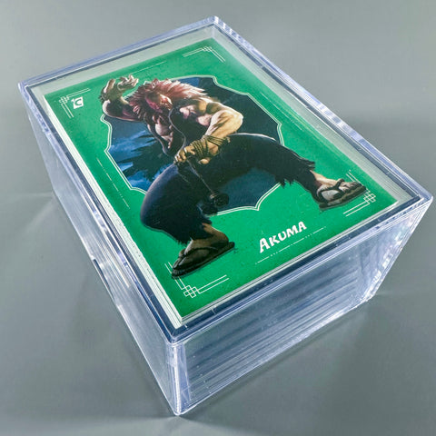 Ryu Street Fighter Series One (2023)