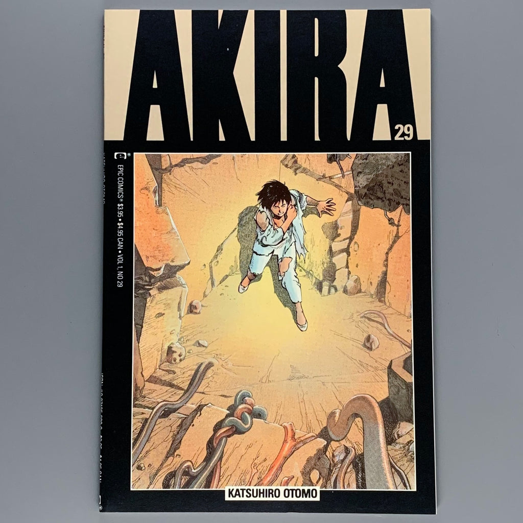 Akira 29