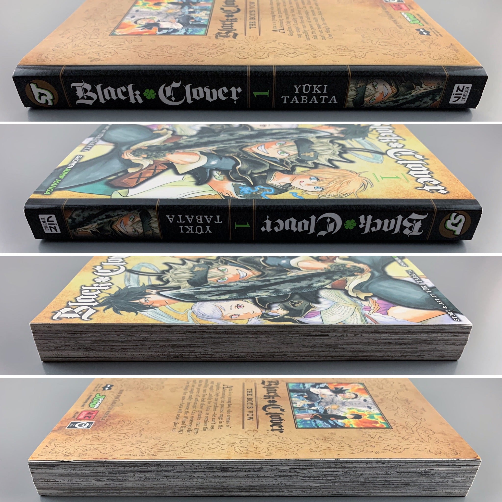Clockwork Planet Vol 1 Manga English Loot Crate Exclusive