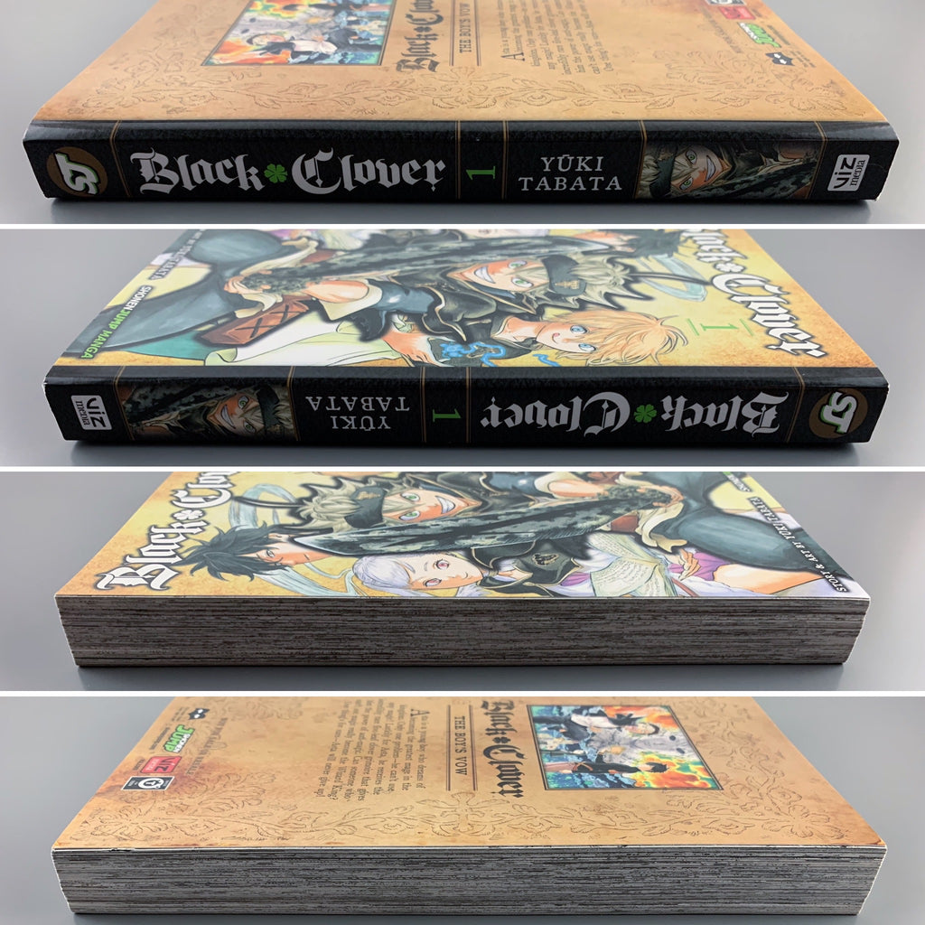 Black Clover Volume 1 - Manga - Loot Crate variant